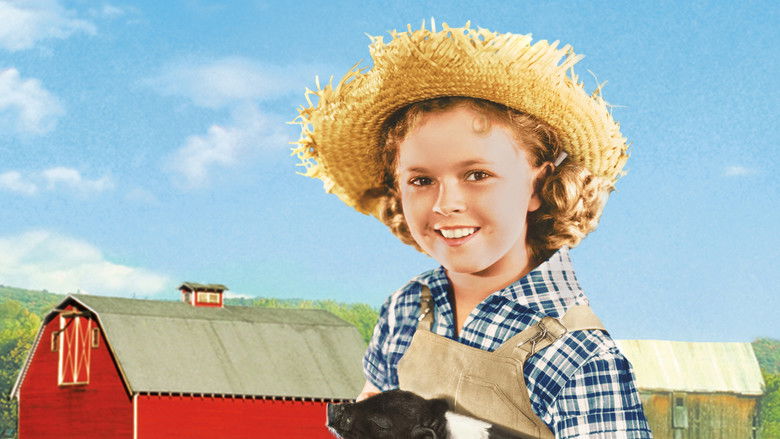 Gallery image from xTG6bpfKIifhnzm39GAszeTTRWB.jpg