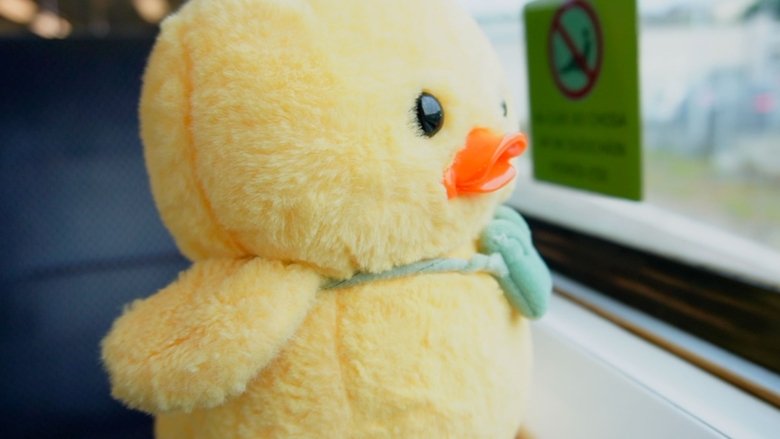 A Duckumentary main backdrop