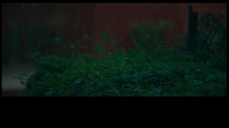 Gallery image from xUL7ziIlEFlswpruxzUFzMHDLUU.jpg