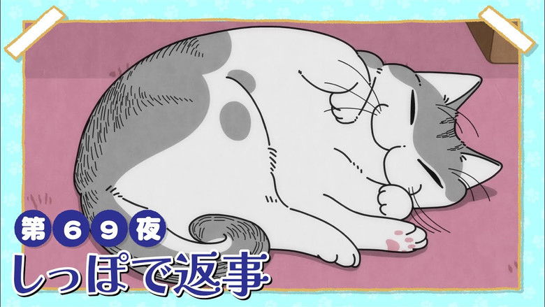 Still image for Nights with a Cat season 1 episode 69: Night 69: Responding By Tail