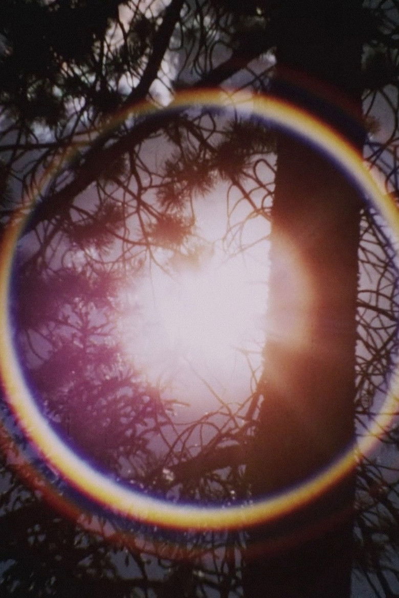 Imatge de Concerto for Water, Sun and Wilderness