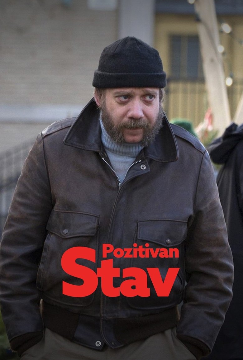 Pozitivan stav (2013)