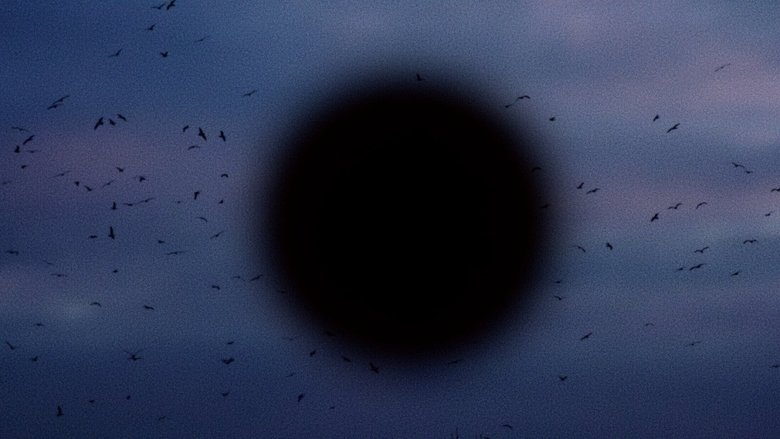 Gallery image from xW5BSMfPEJHbKhReHnXDuCplD5w.jpg