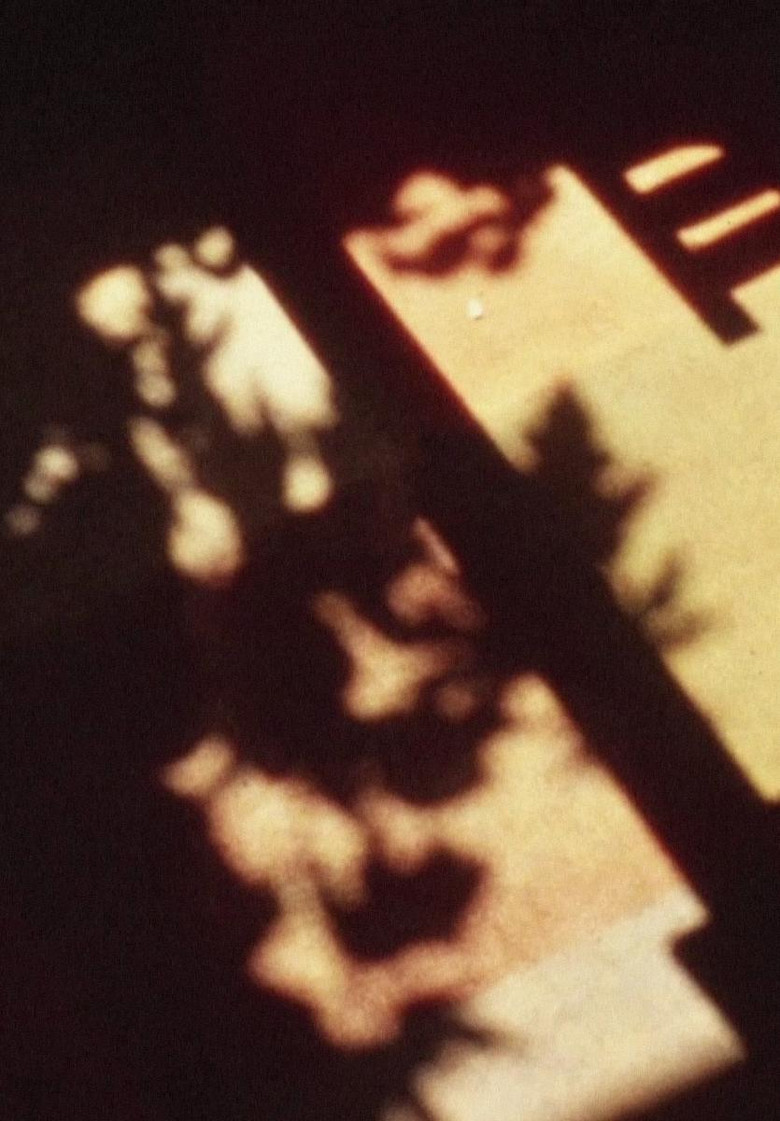 Imatge de Movement and Stillness