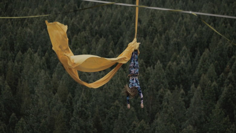 Imatge de La búsqueda de lo invisible