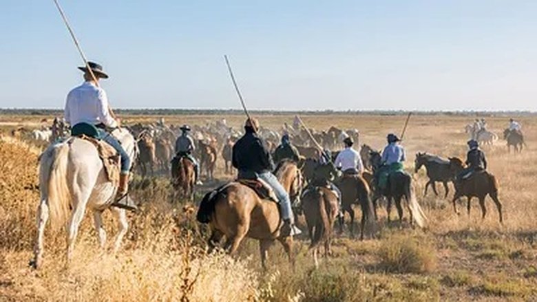 Still image for Abenteuer Spanien season 1 episode 2: Episode 2