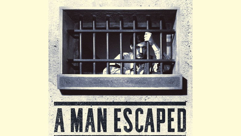 A Man Escaped 7