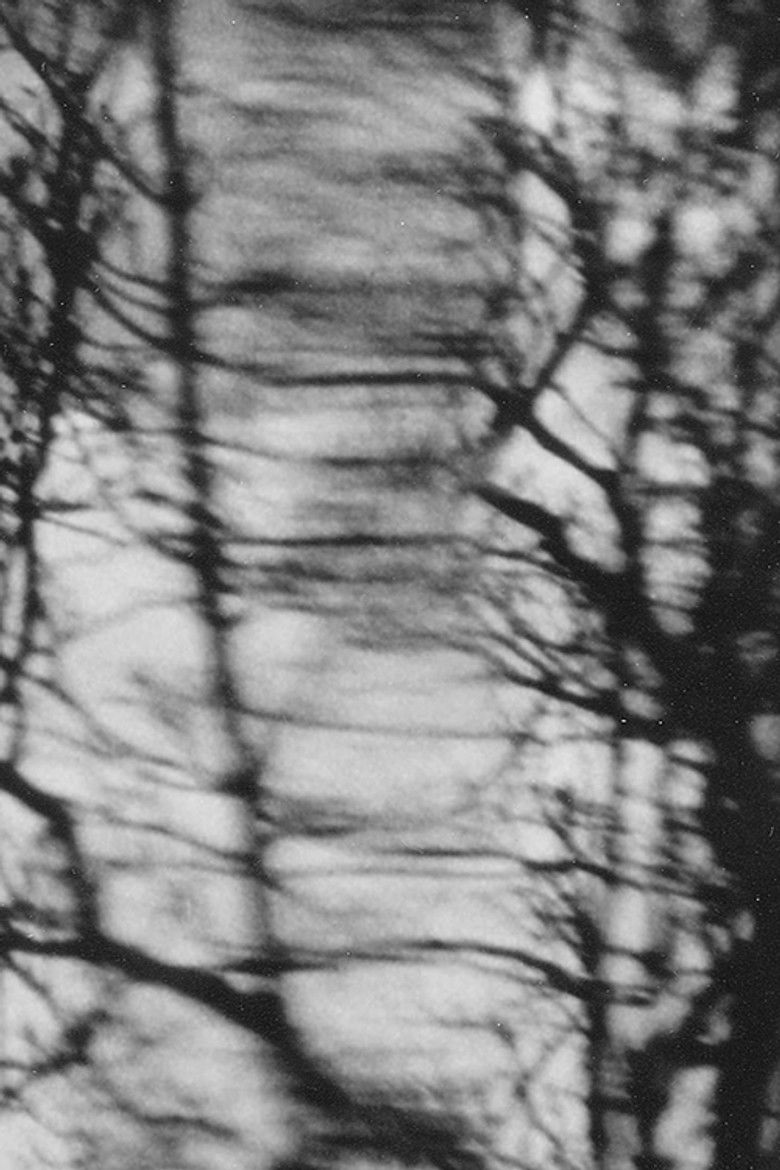 Imatge de Consolations (Love is an Art of Time)