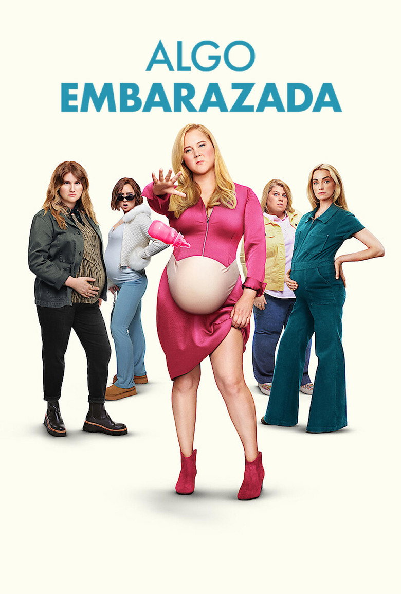 Póster la Película
