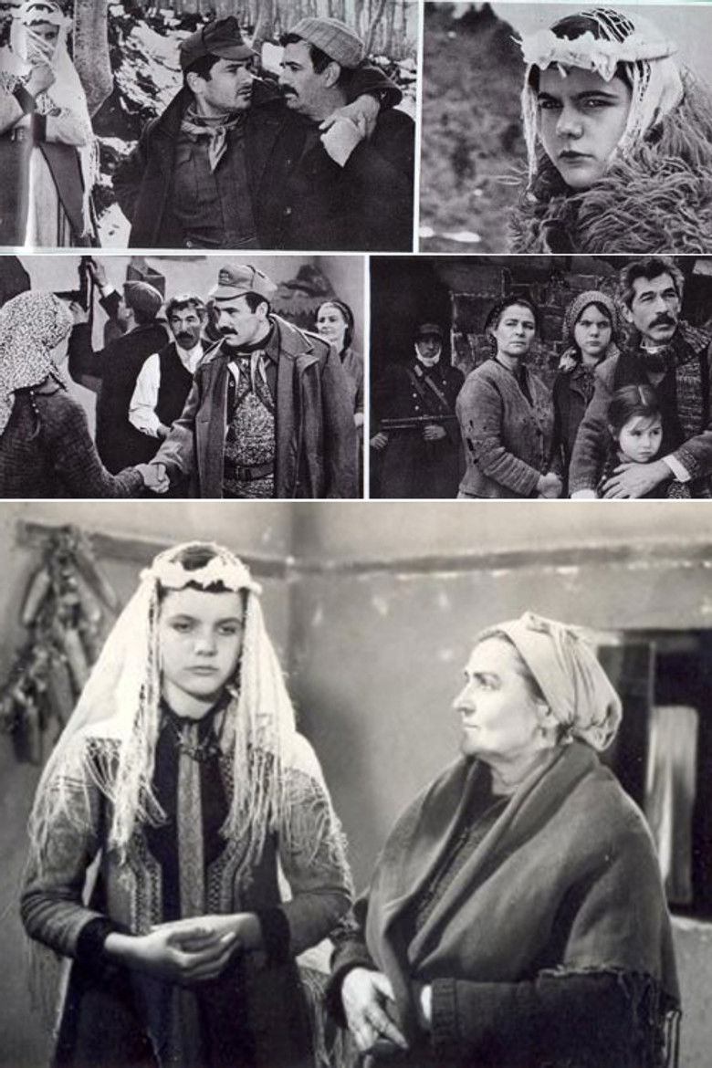 Imatge de Dollia e dasmës sime