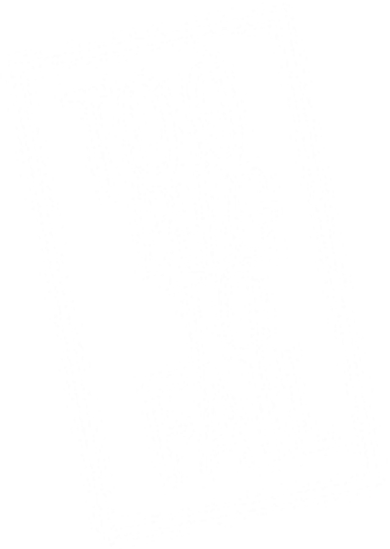 Too Big to Fail