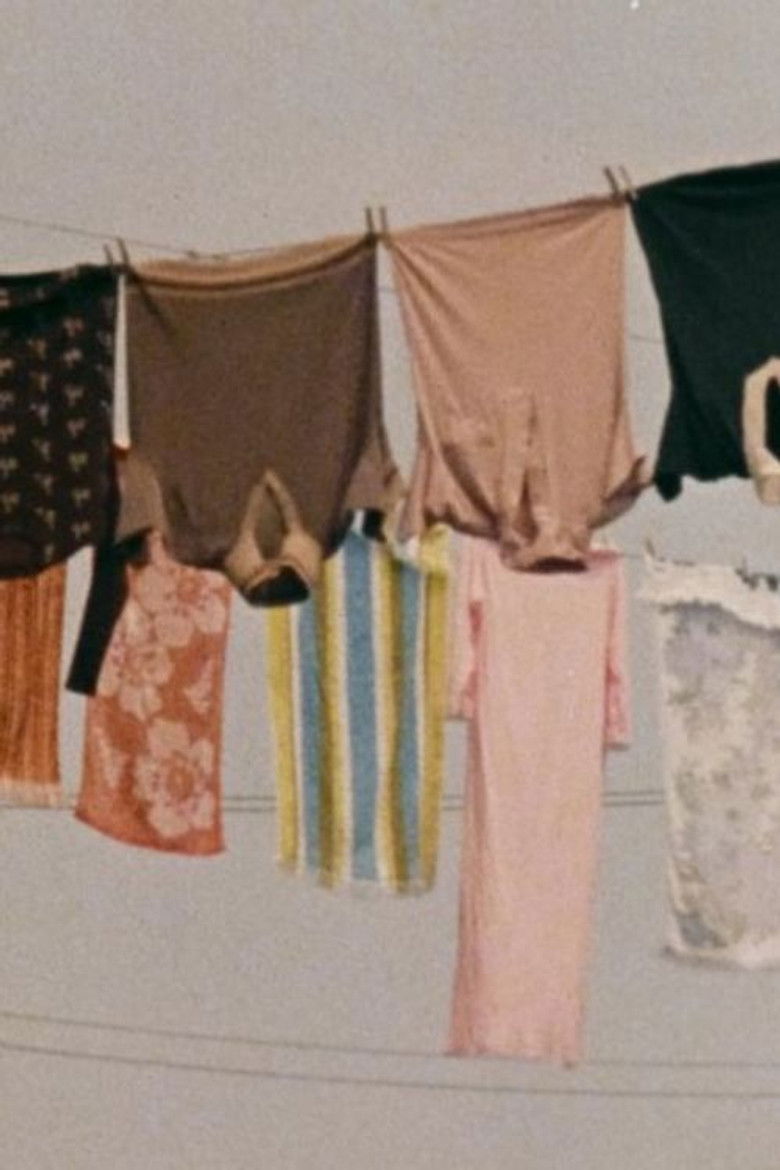 Imatge de Clotheslines