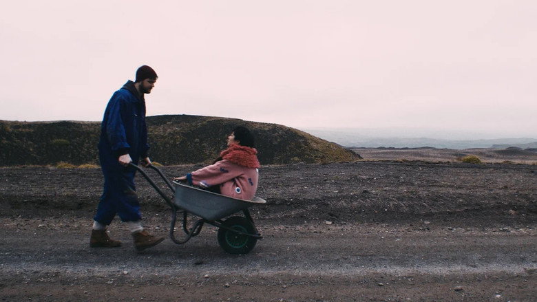 Still from I Draw Inside A Sheep