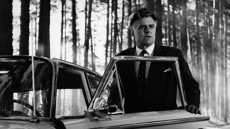 Gallery image from xbViVUcNC1g9rq2wx8GSEg7RmKQ.jpg