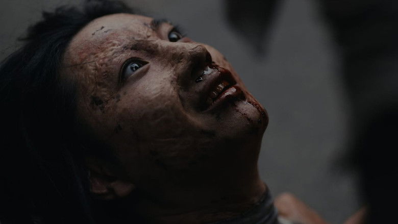 Gallery image from xbptXr9D5XTzB7uhXCIYxIjMXWq.jpg