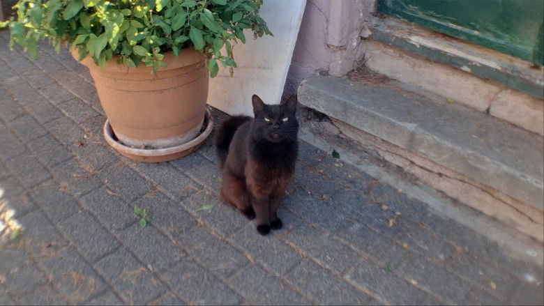 Imatge de büyükada