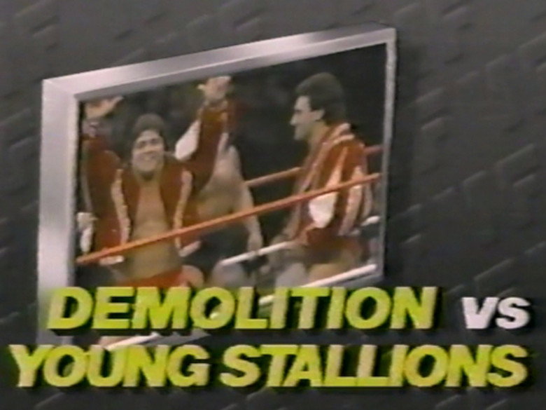 S03E24 – June 11, 1988 - Superstars of Wrestling 93