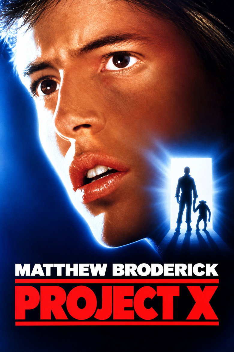 Póster la Película