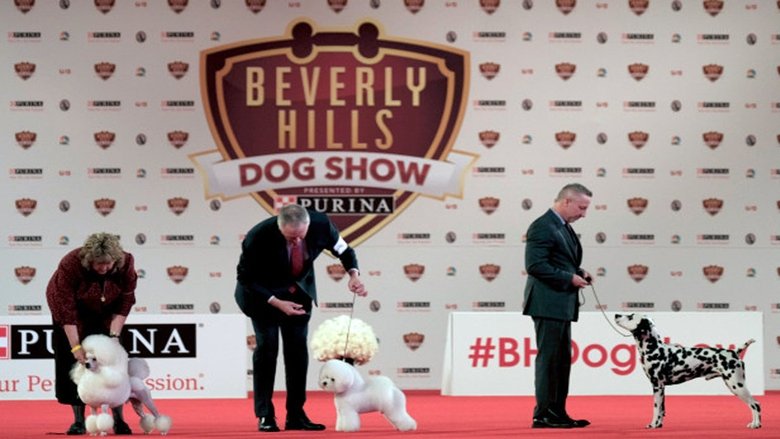 Beverly Hills Dog Show movie poster