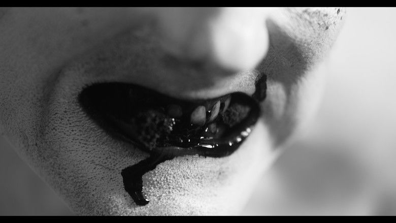 Gallery image from xddd7YaVSk0m9w7eu2ofyy1i5tc.jpg