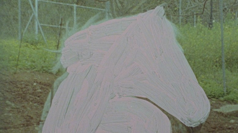 Gallery image from xdkRZcIqOFmtKezlVvJNj2y5414.jpg