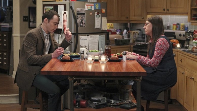 The Big Bang Theory Vostfr Streaming Série The Big Bang Theory Saison 8 épisode 20 en streaming VF et VOSTFR