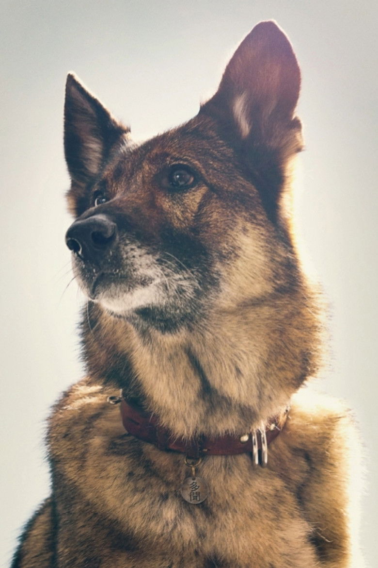 Imatge de 少年と犬