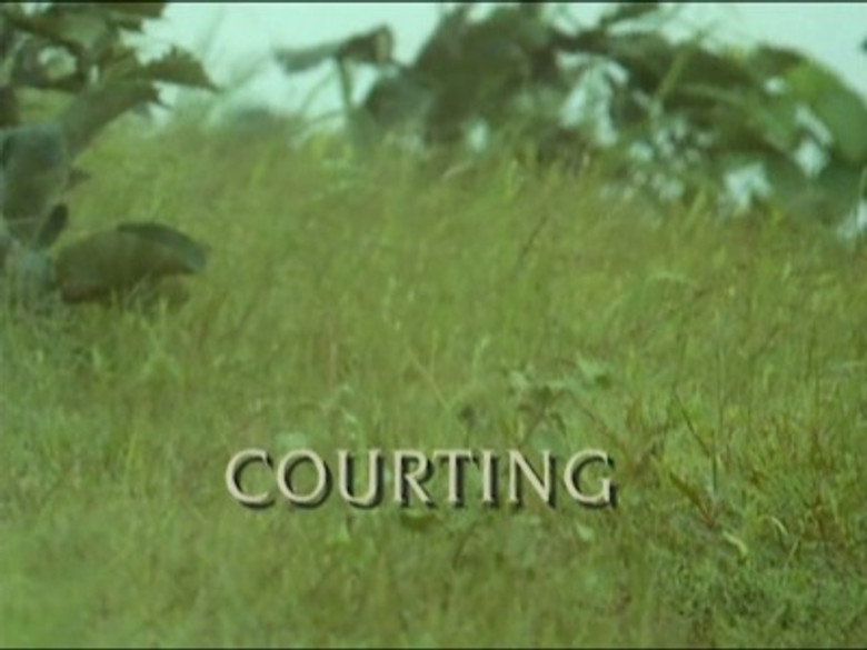Still from Trials of Life - ซีซัน 1 ตอน 11