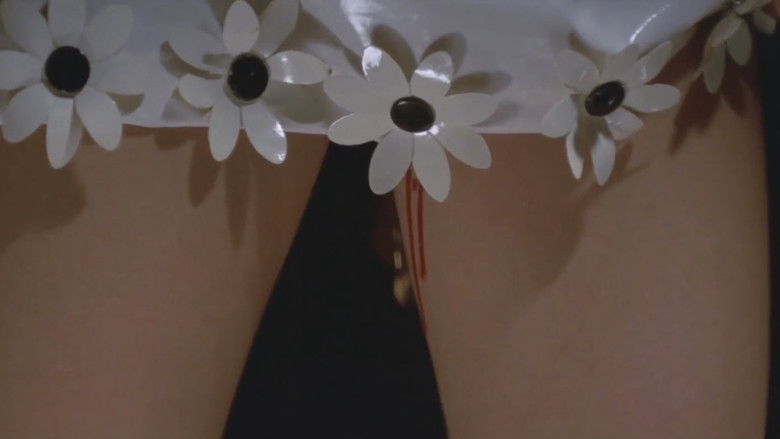 Image d'arrière-plan 12 du film 制服処女のいたみ