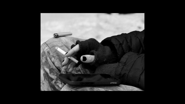 Imatge de fair weather