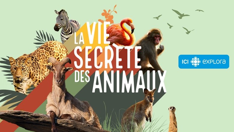 La+vie+secr%C3%A8te+des+animaux