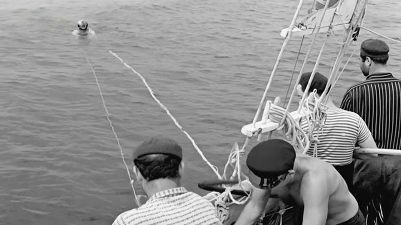 Gallery image from xh5UC0C9Ti0hHitbYTfHWB18nEd.jpg