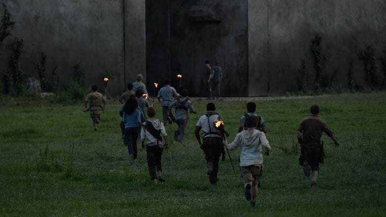 The Maze Runner