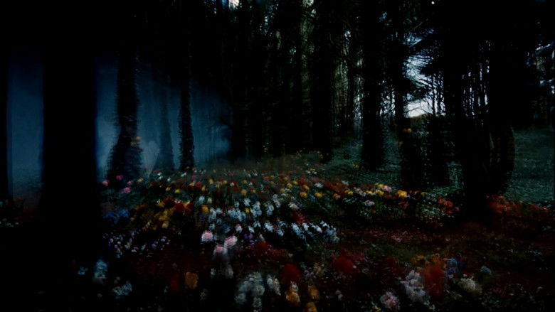 Image d'arrière-plan 12 du film Frágil Como o Mundo