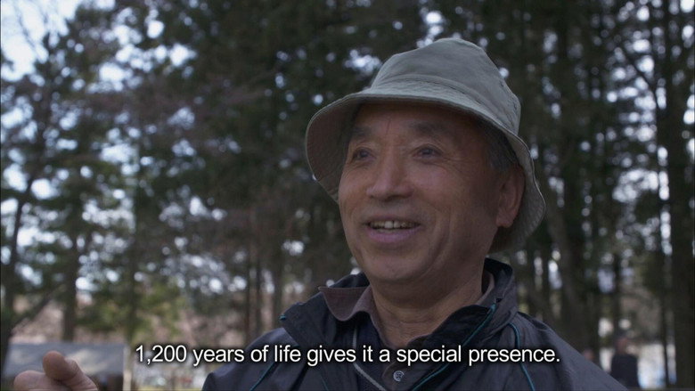 Cycle Around Japan - Yamagata: Call of the Wild