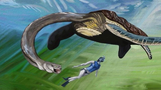 Still image for On the trail of... Champ season 1 episode 2: Episode 2 · Belua Aquatica Champlaineinsis