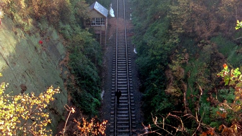 Gallery image from xi5rNzQUDNnljJt4nsc3TMKSVFy.jpg