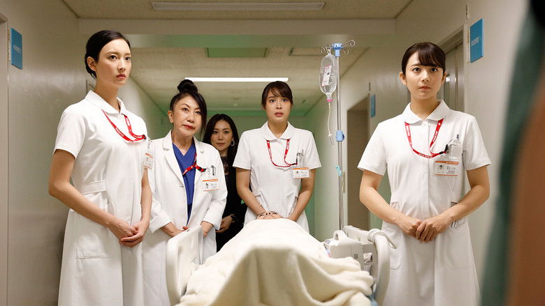 Still image for Seven Secretaries season 1 episode 6: Episode 6 Still image for Seven Secretaries season 1 episode 6: Episode 6