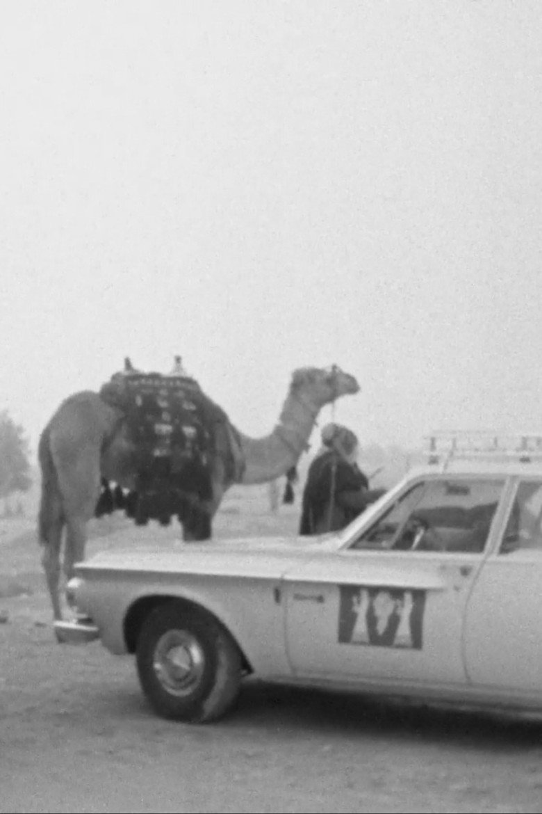 Imatge de יומן הקיבוץ המאוחד מס' 22 - יום שוק בבאר שבע