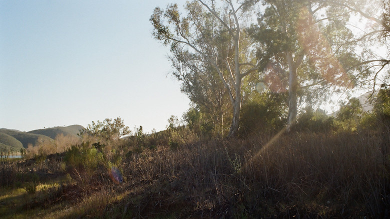 Frame from Tolkat (Push)