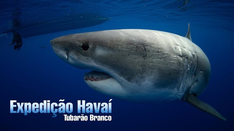 World's Biggest Great White? (2019)