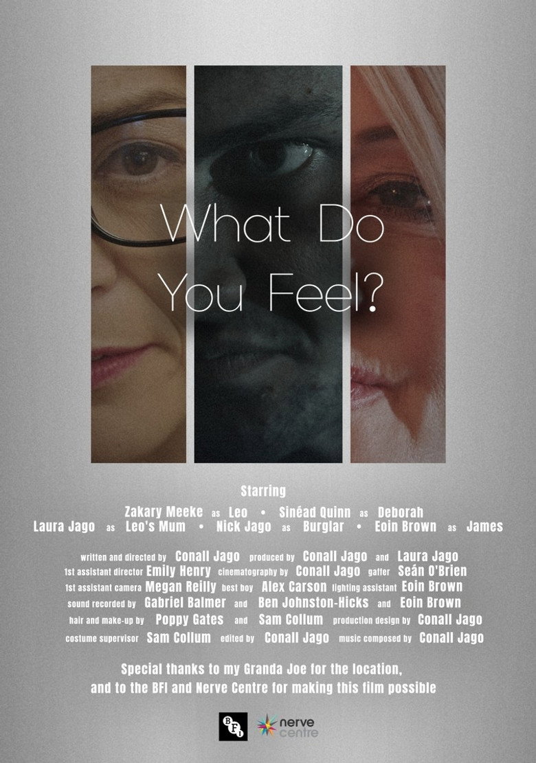 Imatge de What Do You Feel?