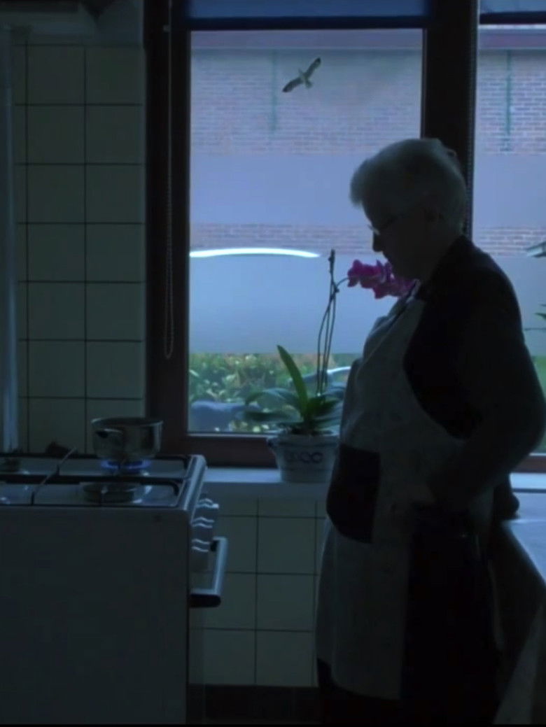 Imatge de Joanne & Jacob