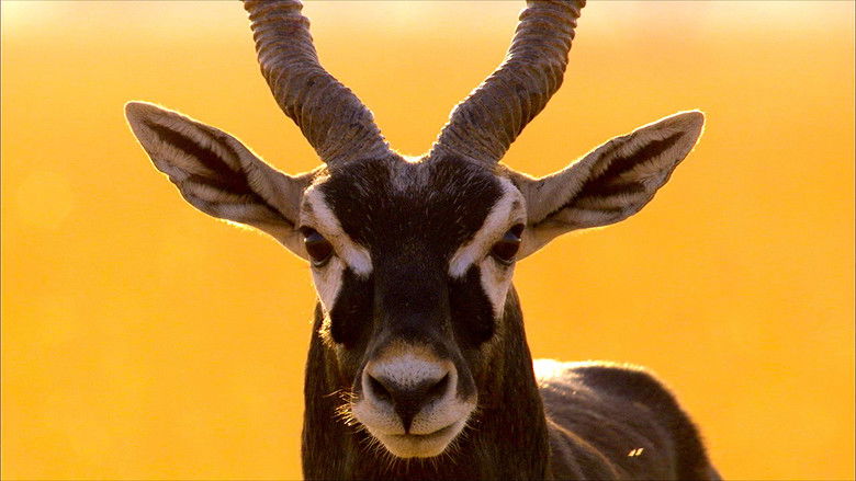 Still image for Wonders of the Monsoon season 1 episode 3: The Drought