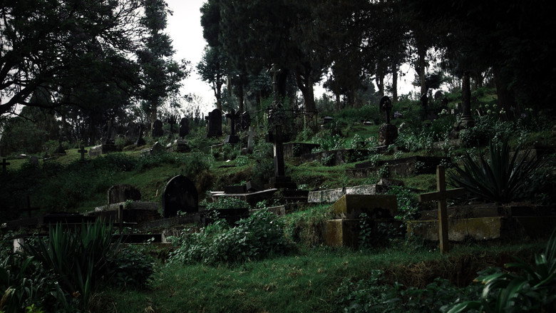 Gallery image 1