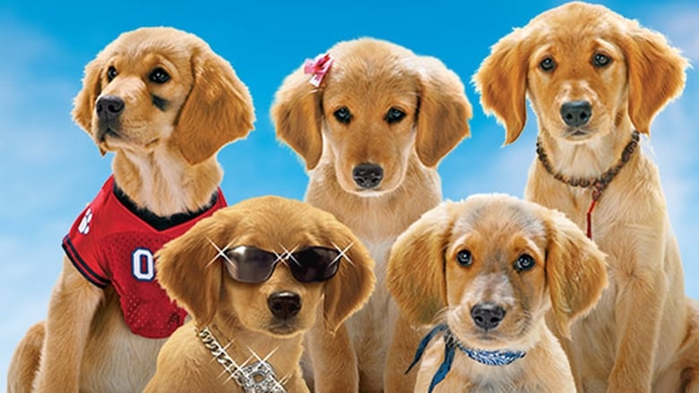 buddy movies buddy movies