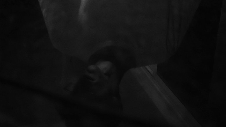 Penumbra (2024)