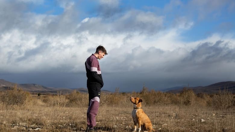 Chien de la casse en streaming