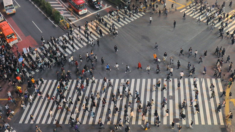 Gallery image from xmo01VlQePESsRMyjdW5DsPk8e4.jpg