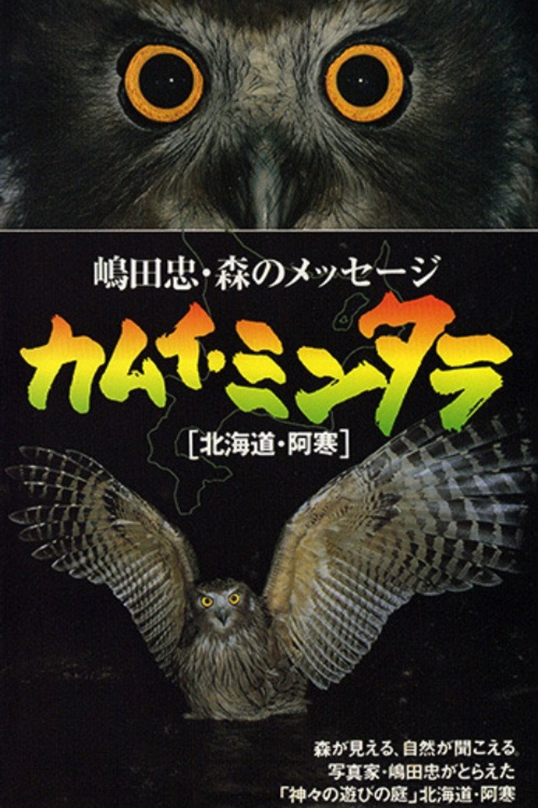 カムイ・ミンタラ 嶋田忠・森のメッセージ [北海道・阿寒]